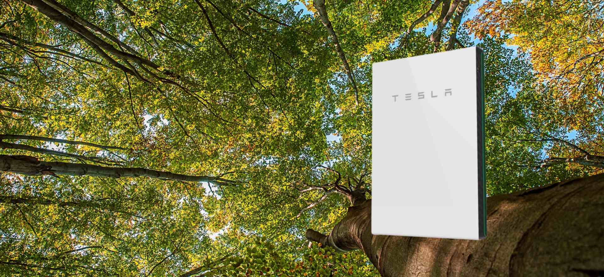 Batteria di accumulo fotovoltaico Tesla Powerwall 2 su sfondo bosco di quercia
