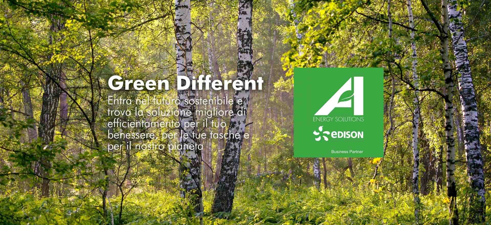 Bosco di betulle verde, come il logo di Energy Solutions